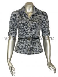 ����� ARAS - 3001 �������� � ���������. ������ �� ��������.