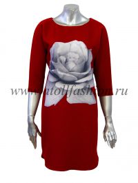 ������ SAY - 505355-1 �������� � ���������. ������ �� ��������.